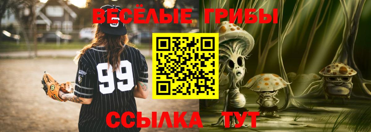 Галлюциногенные грибы Cubensis Свободный